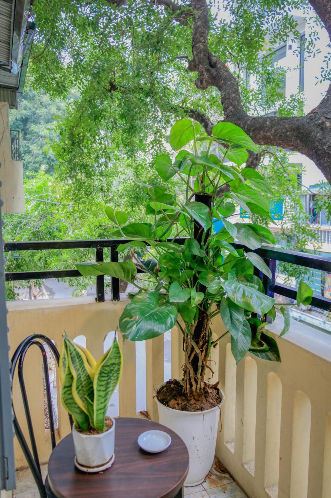 Hanoi Family Homestay Esterno foto